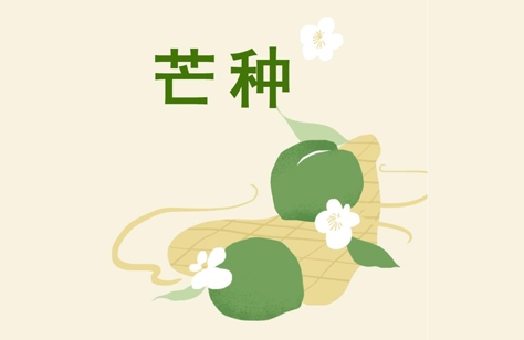 創(chuàng)洲木門(mén)丨芒種，是豐收也象征著新生